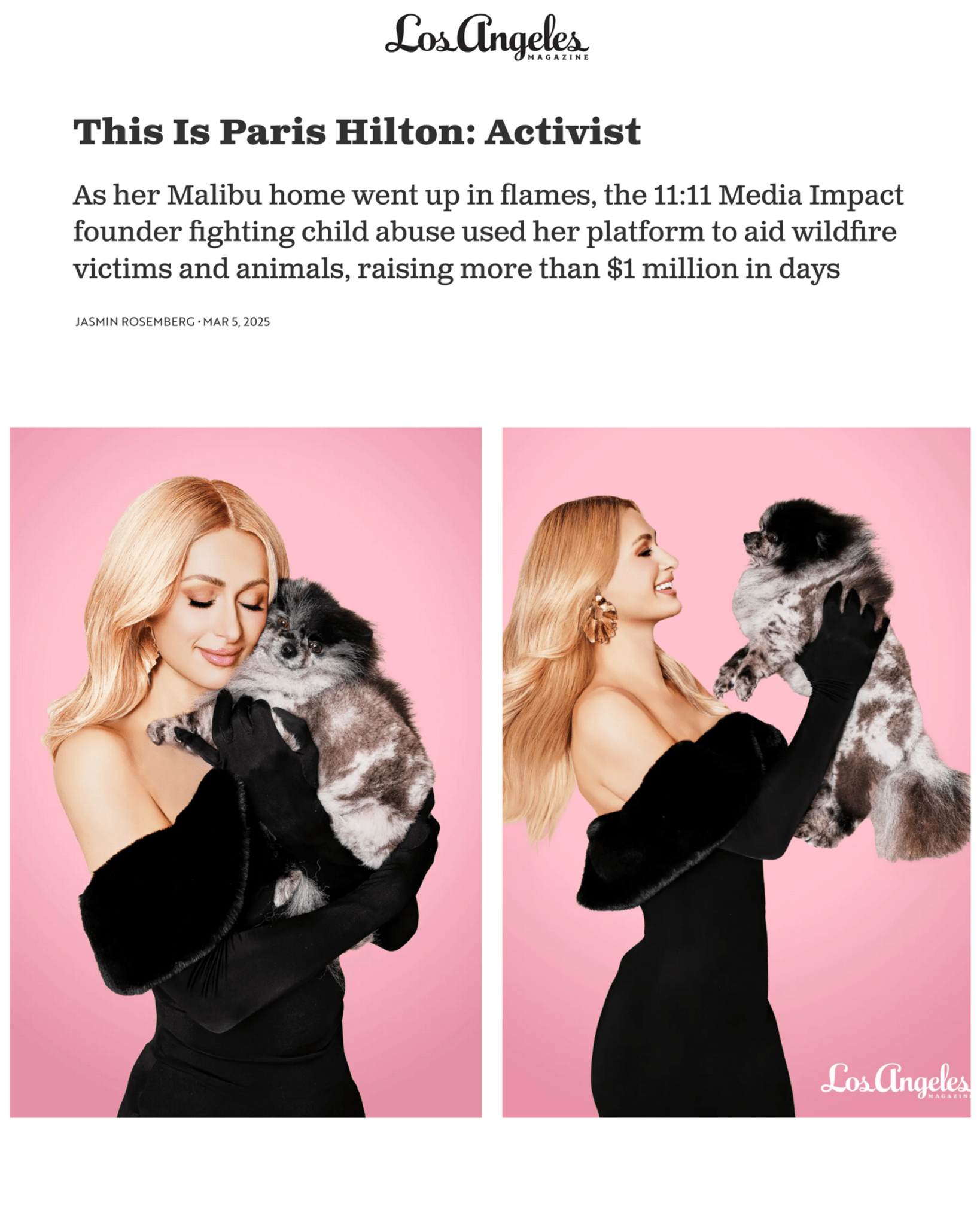 Palm Leaf Earring - Christina Caruso