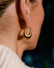 Load image into Gallery viewer, Thick Hoop - 14k Gold Plated
